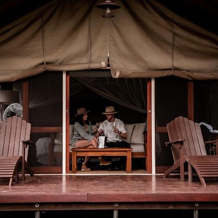 Honeyguide Tented Safari Camp - Khoka Moya Manyeleti Doğa Koruma Alanı Dış mekan fotoğraf