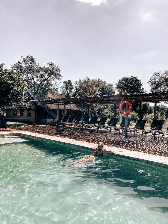 Honeyguide Tented Safari Camp - Khoka Moya Manyeleti Doğa Koruma Alanı Dış mekan fotoğraf