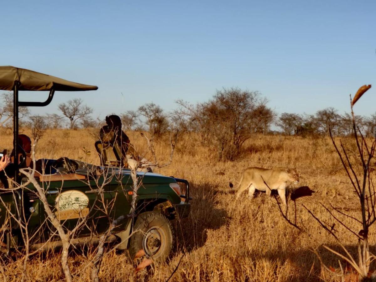 Honeyguide Tented Safari Camp - Khoka Moya Manyeleti Doğa Koruma Alanı Dış mekan fotoğraf