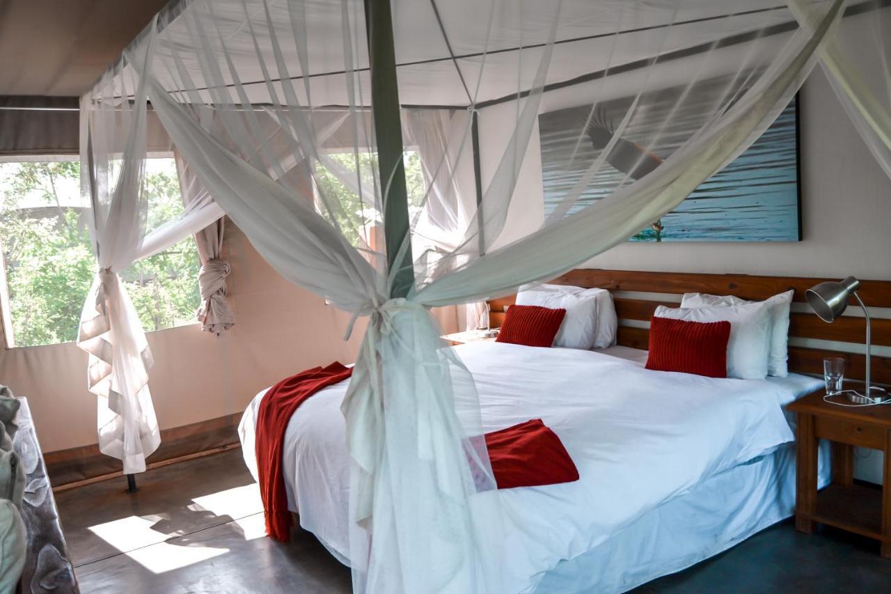 Honeyguide Tented Safari Camp - Khoka Moya Manyeleti Doğa Koruma Alanı Dış mekan fotoğraf